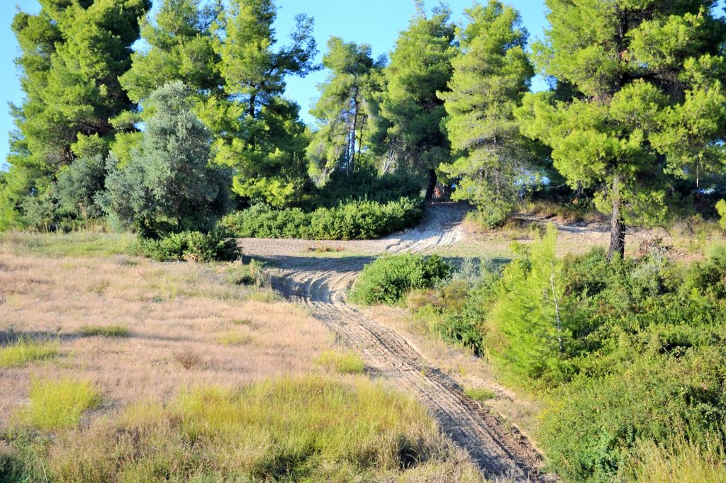 Οικόπεδο 5.230 τ.μ. προς πώληση, Σίβηρη