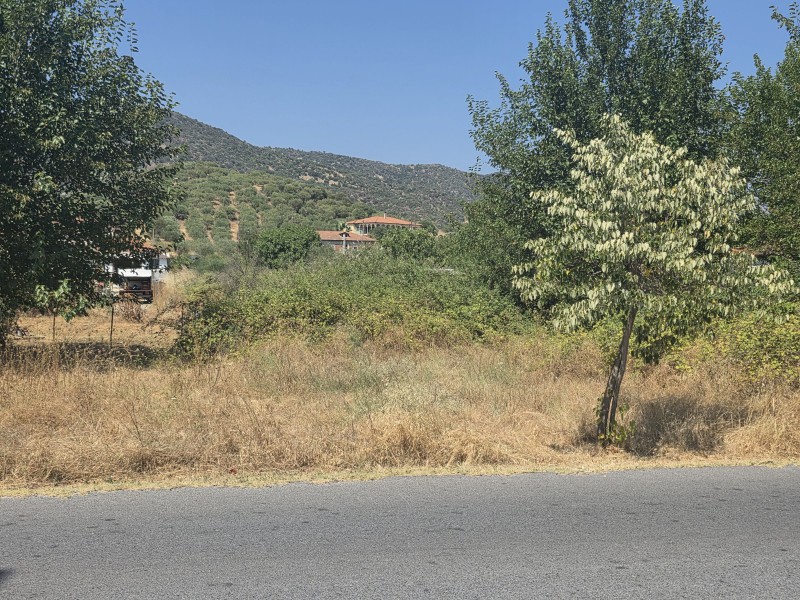 Αγροτεμάχια 510 τ.μ. προς πώληση, Συκιά Τορώνης