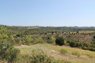 Οικόπεδο 13.000 τ.μ. για πώληση