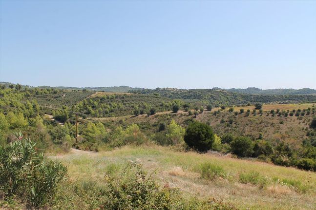Land plot 13.000 sqm for sale, Chalkidiki, Pallini