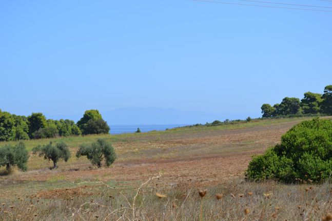 Land plot 4.380 sqm for sale, Chalkidiki, Kassandra