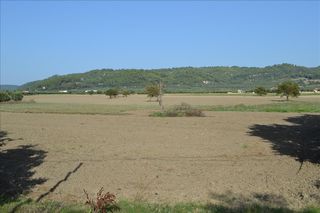 Οικόπεδο 5.500 τ.μ. προς πώληση