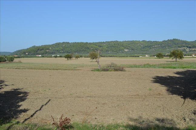Land plot 5.500 sqm for sale, Chalkidiki, Kassandra