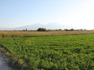 Οικόπεδο 10.000 τ.μ. για πώληση