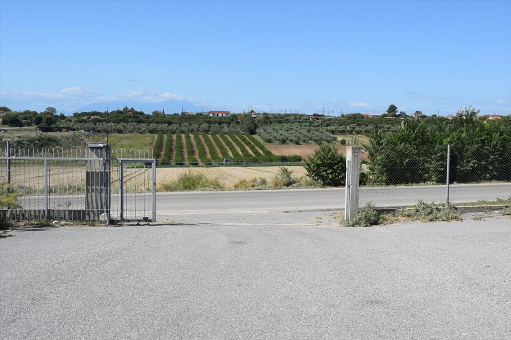 Επιχειρηματικό κτίριο 800 τ.μ. προς πώληση, Νέα Καλλικράτεια