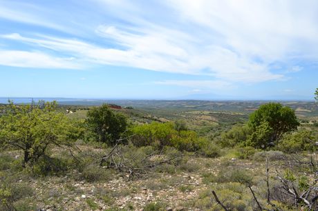Land plot 20.000 sqm for sale