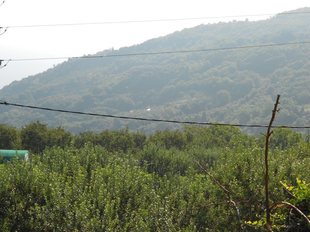 Οικόπεδο 5.000 τ.μ. πρός πώληση, Μαγνησία, Ζαγορά
