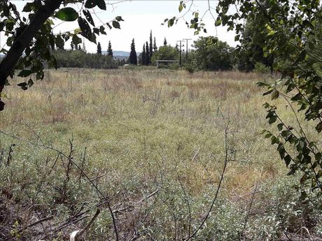 Land plot 5.908sqm for sale-Pylea » Mediterranean Cosmos