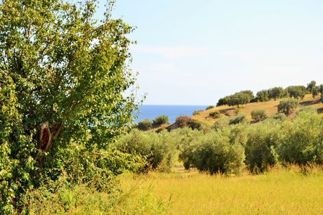 Land plot 4.013sqm for sale-Pallini » Nea Skioni