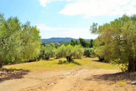 Land plot 10.000sqm for sale-Kassandra » Elani