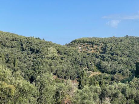 Οικόπεδο 30.000 τ.μ. για πώληση