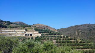 Οικόπεδο 4.744 τ.μ. για πώληση, Ν. Ρεθύμνου, Γεροπόταμος-thumb-6