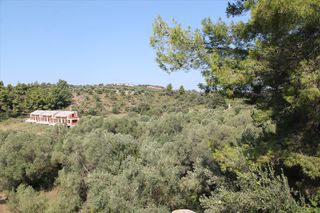 Βίλλα 360 τ.μ. προς πώληση, Γλυφονέρι-thumb-55