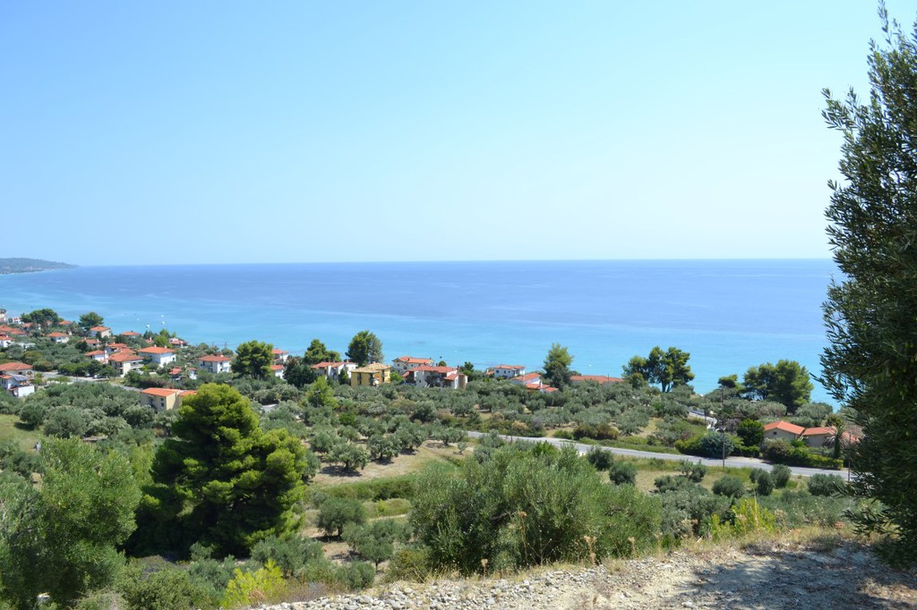 Οικόπεδο 12.300 τ.μ. προς πώληση, Μόλες Καλύβες