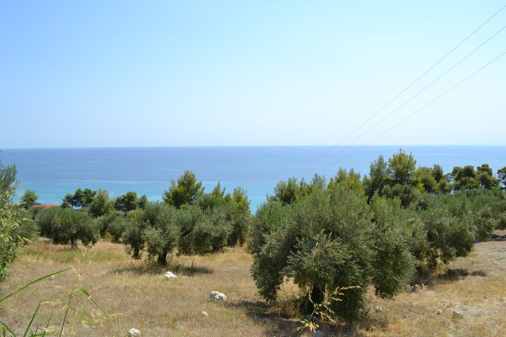Οικόπεδο 12.300 τ.μ. προς πώληση, Μόλες Καλύβες