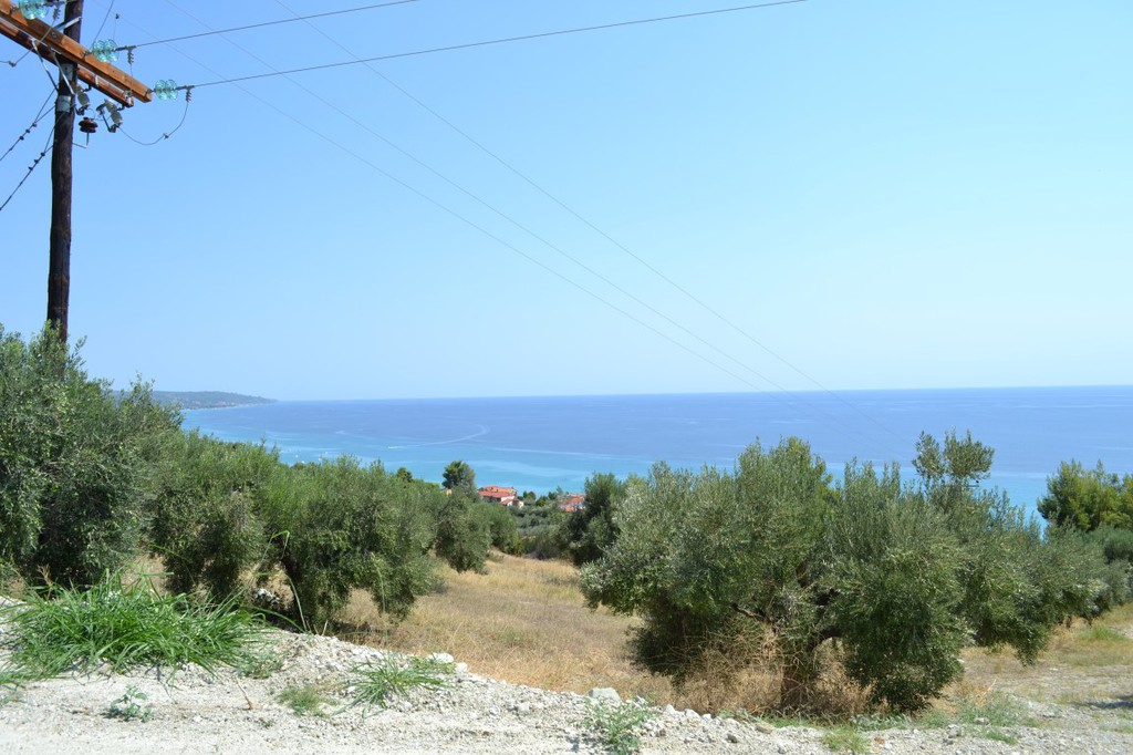 Οικόπεδο 12.300 τ.μ. προς πώληση, Μόλες Καλύβες