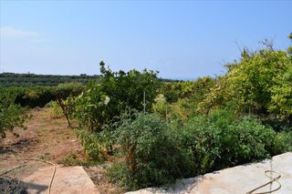 Άλλο 448 τ.μ. για πώληση, Ν. Ρεθύμνου, Αρκάδι-thumb-38
