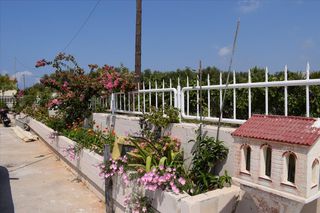 Άλλο 448 τ.μ. για πώληση, Ν. Ρεθύμνου, Αρκάδι-thumb-39