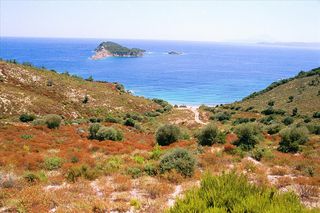 Οικόπεδο 40.687 τ.μ. προς πώληση