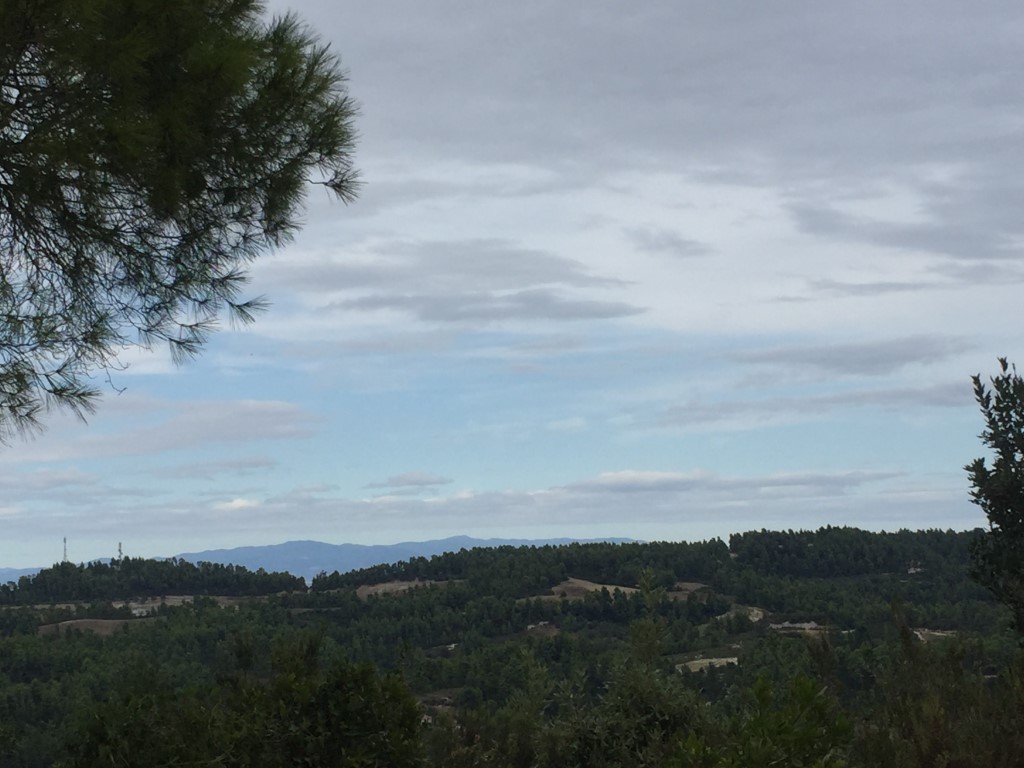 Οικόπεδο 13.000 τ.μ. προς πώληση, Κασσανδρηνό