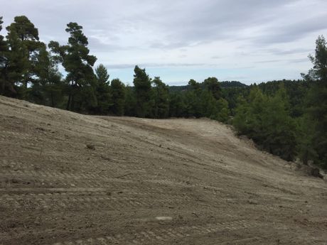 Οικόπεδο 13.000τ.μ. για πώληση-Κασσάνδρα » Κασσανδρηνό