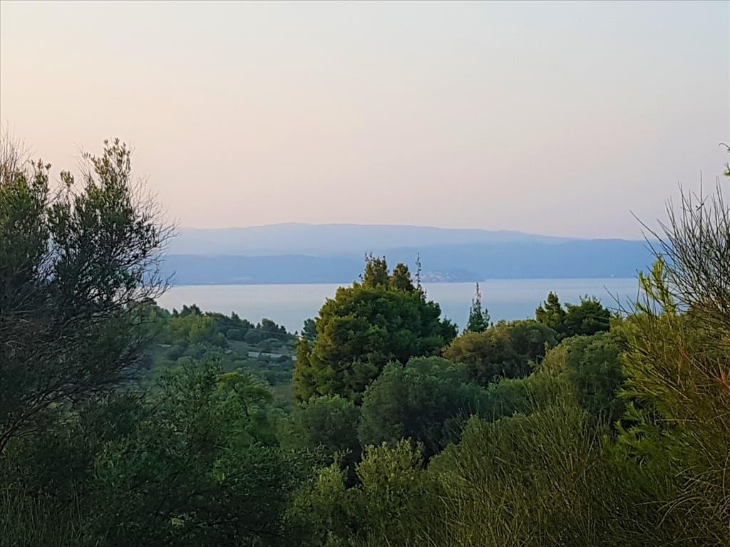 Οικόπεδο 3.350 τ.μ. προς πώληση, Άγιος Νικόλαος Σιθωνίας