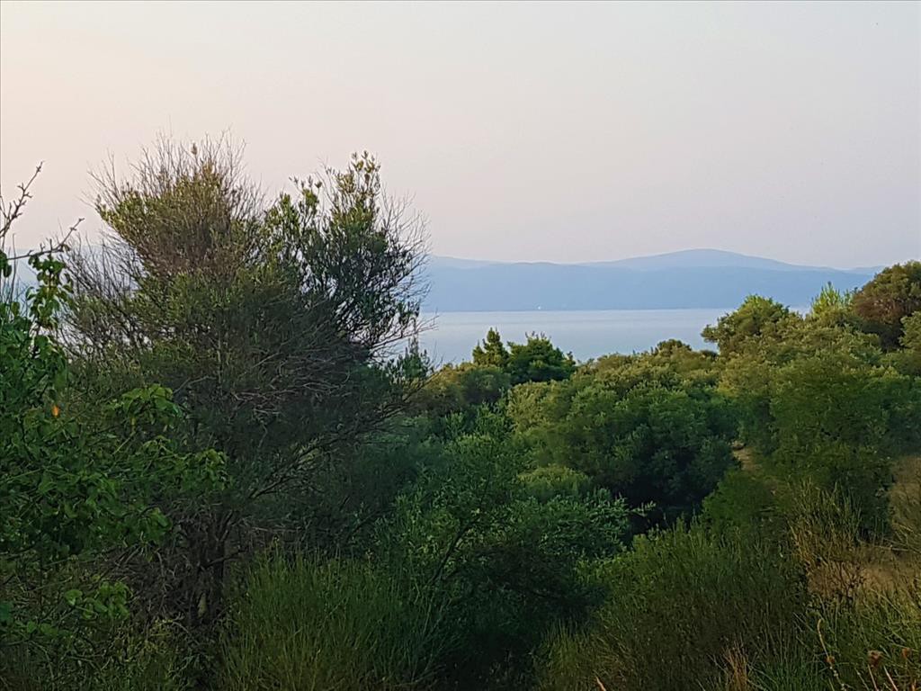 Οικόπεδο 3.350 τ.μ. προς πώληση, Άγιος Νικόλαος Σιθωνίας