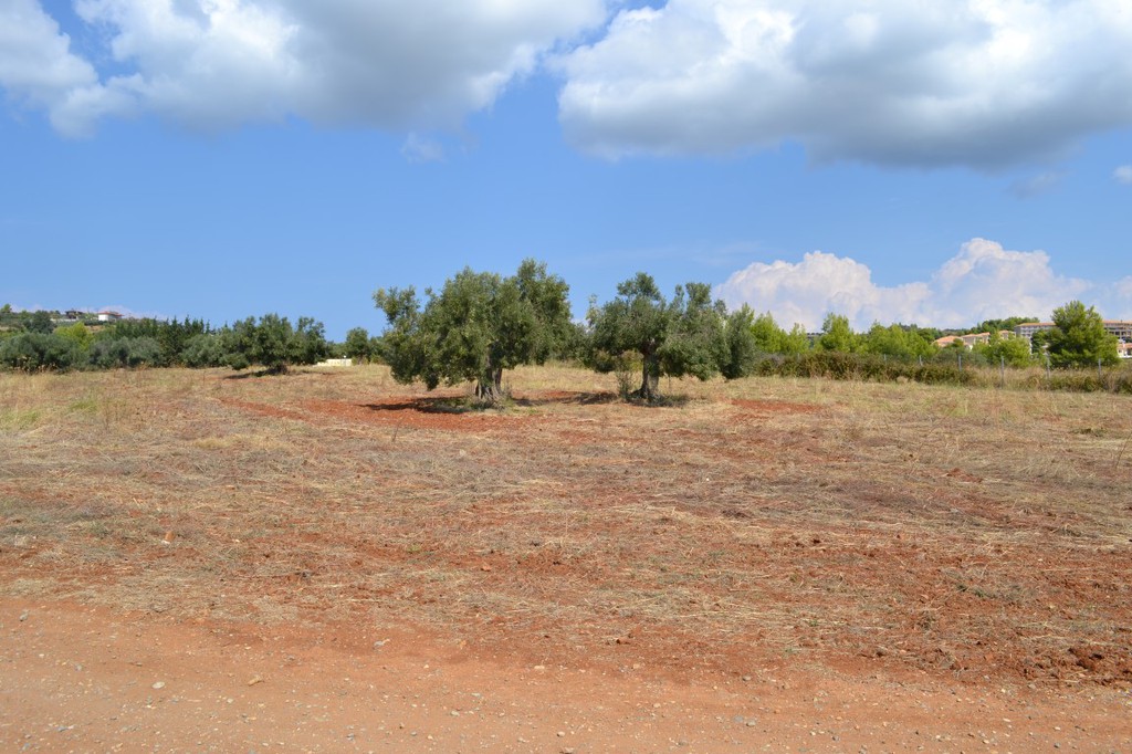 Οικόπεδο 6.616 τ.μ. προς πώληση, Λουτρά Παλλήνης