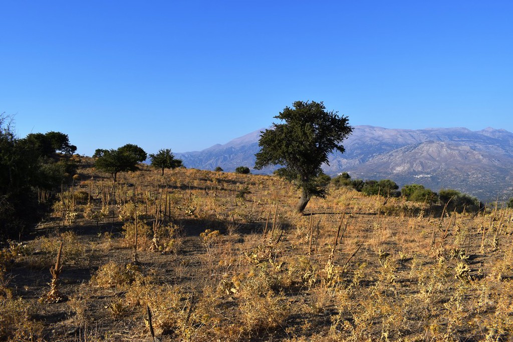 Οικόπεδο 60.000 τ.μ. πρός πώληση, Ν. Ρεθύμνου, Λάμπη