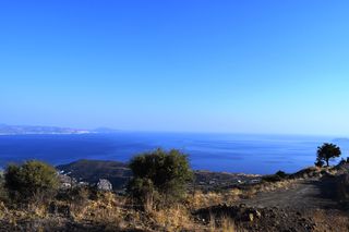 Οικόπεδο 60.000 τ.μ. για πώληση