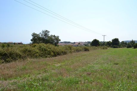 Οικόπεδο 6.000τ.μ. για πώληση-Κασσάνδρα » Καλλιθέα