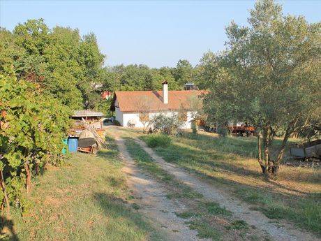 Μονοκατοικία 70τ.μ. για πώληση-Μεθώνη » Αρχαία πύδνα