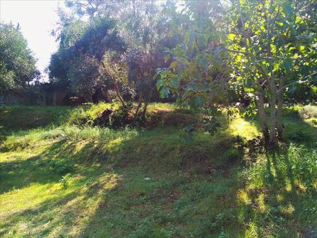 Οικόπεδο 2.020τ.μ. για πώληση-Κέρκυρα » Αχίλλειο