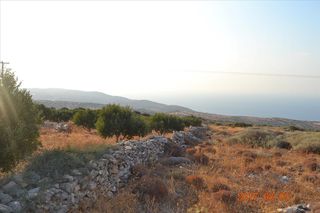 Οικόπεδο 3.000 τ.μ. για πώληση
