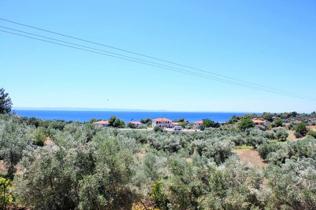 Land plot 4.000sqm for sale-Sithonia » Nikiti
