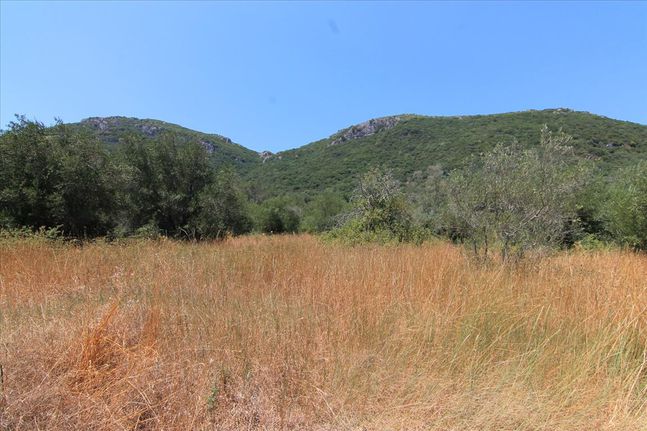 Οικόπεδο 7.000 τ.μ. για πώληση, Ν. Κέρκυρας, Κέρκυρα