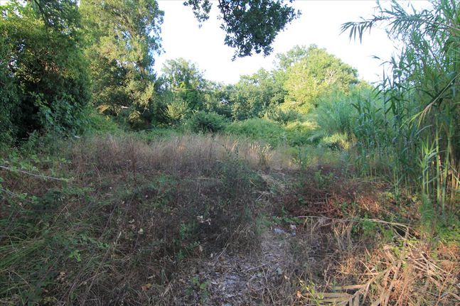 Οικόπεδο 7.000 τ.μ. για πώληση, Ν. Κέρκυρας, Κέρκυρα