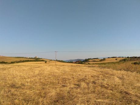 Land plot 8.453sqm for sale-Stagiron - Akanthou » Tripiti