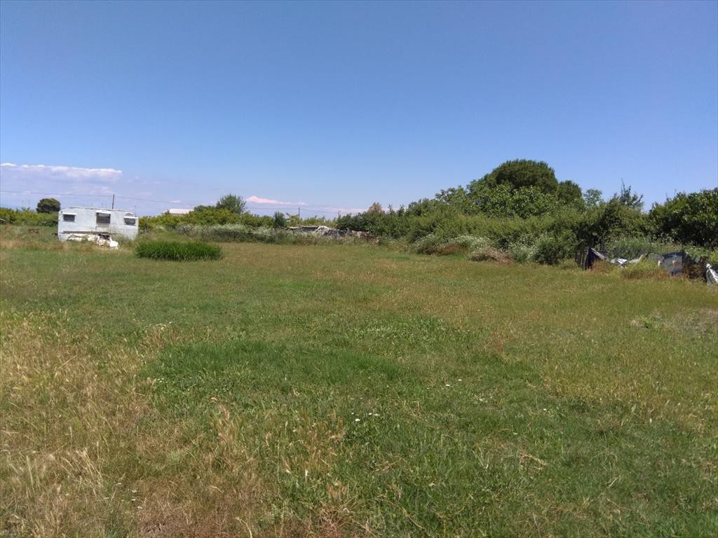 Οικόπεδο 16.800 τ.μ. προς πώληση, Ιερισσός