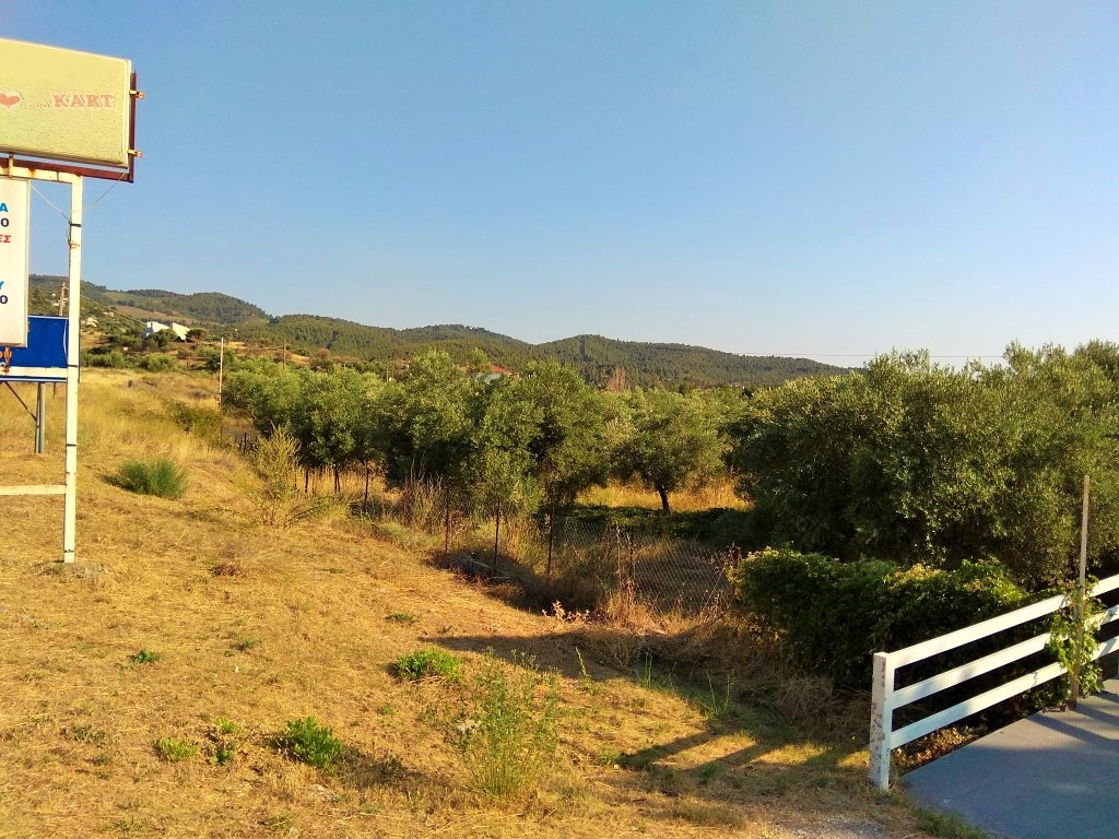 Οικόπεδο 7.000 τ.μ. προς πώληση, Λιμάνι Καρρά