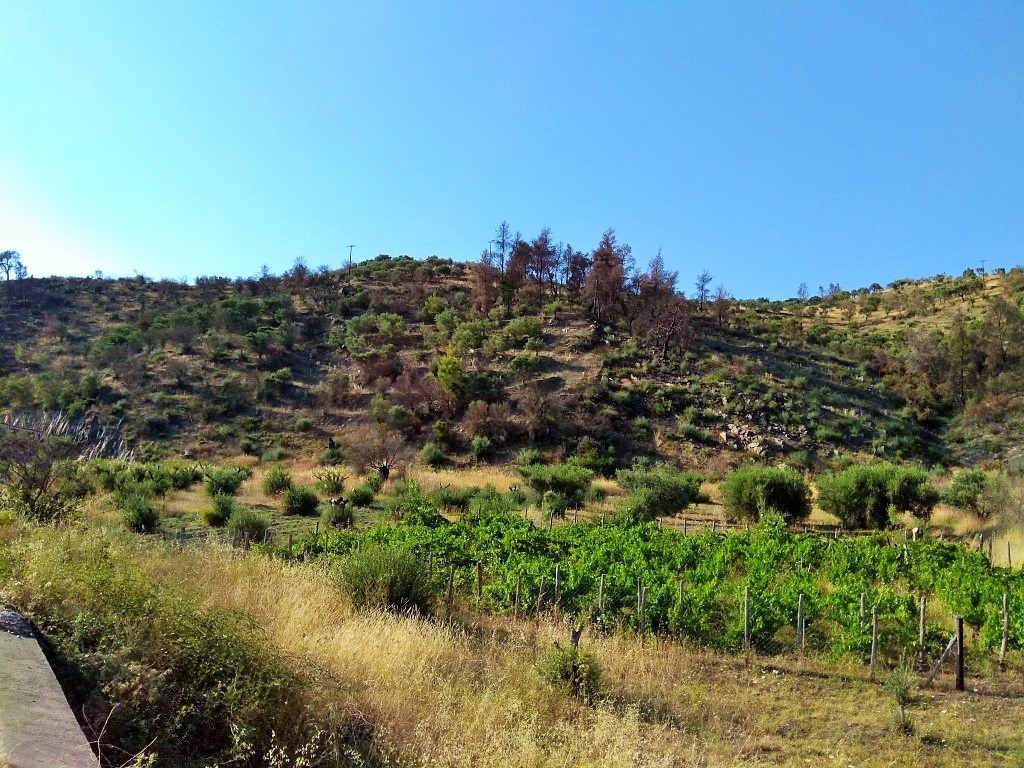 Οικόπεδο 3.500 τ.μ. προς πώληση, Λιμάνι Καρρά