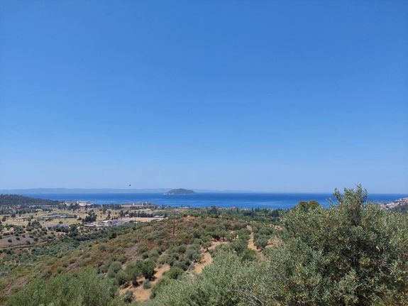 Land plot 3.500 sqm for sale, Chalkidiki, Sithonia