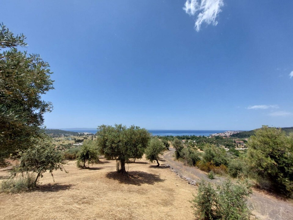 Οικόπεδο 3.500 τ.μ. προς πώληση, Λιμάνι Καρρά