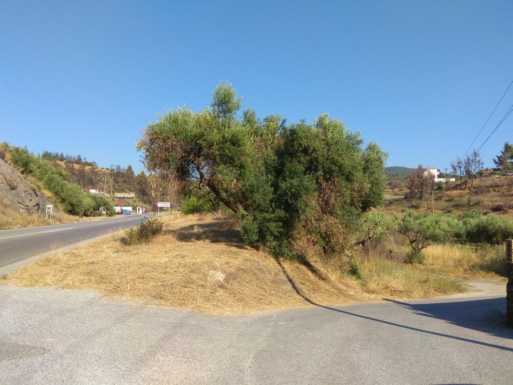 Οικόπεδο 750 τ.μ. προς πώληση, Λιμάνι Καρρά
