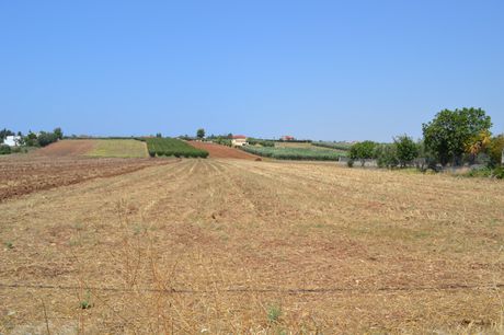 Land plot 9.000sqm for sale-Moudania » Varkes