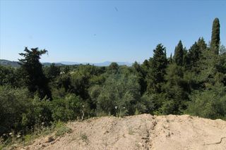 Οικόπεδο 5.300 τ.μ. για πώληση