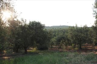 Οικόπεδο 4.625 τ.μ. για πώληση