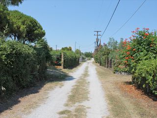 Οικόπεδο 5.000 τ.μ. για πώληση, Ημαθία, Βεργίνα-thumb-2