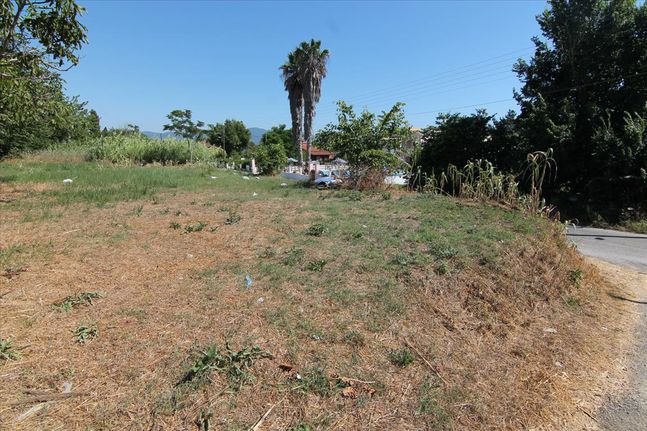 Land plot 32.000 sqm for sale, Corfu Prefecture, Corfu