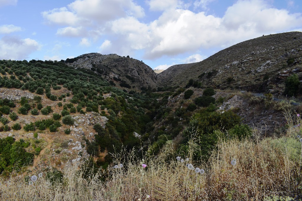 Οικόπεδο 43.000 τ.μ. πρός πώληση, Ν. Ρεθύμνου, Ζωνιανά